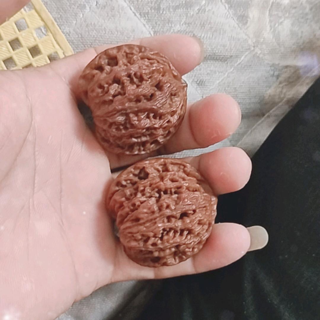 智慧果