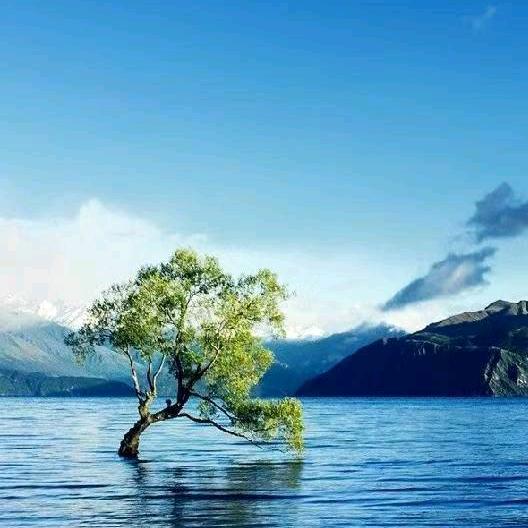 浪子回头金不换