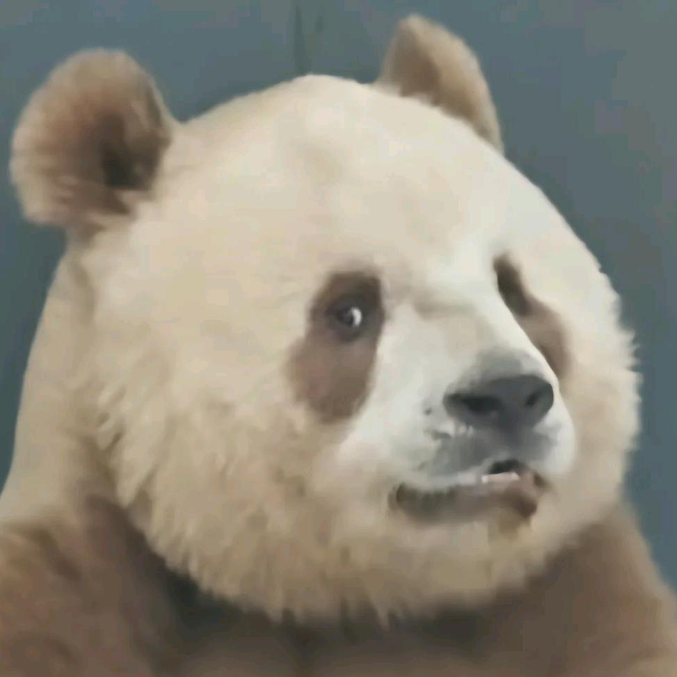 莎头（期待见面局）