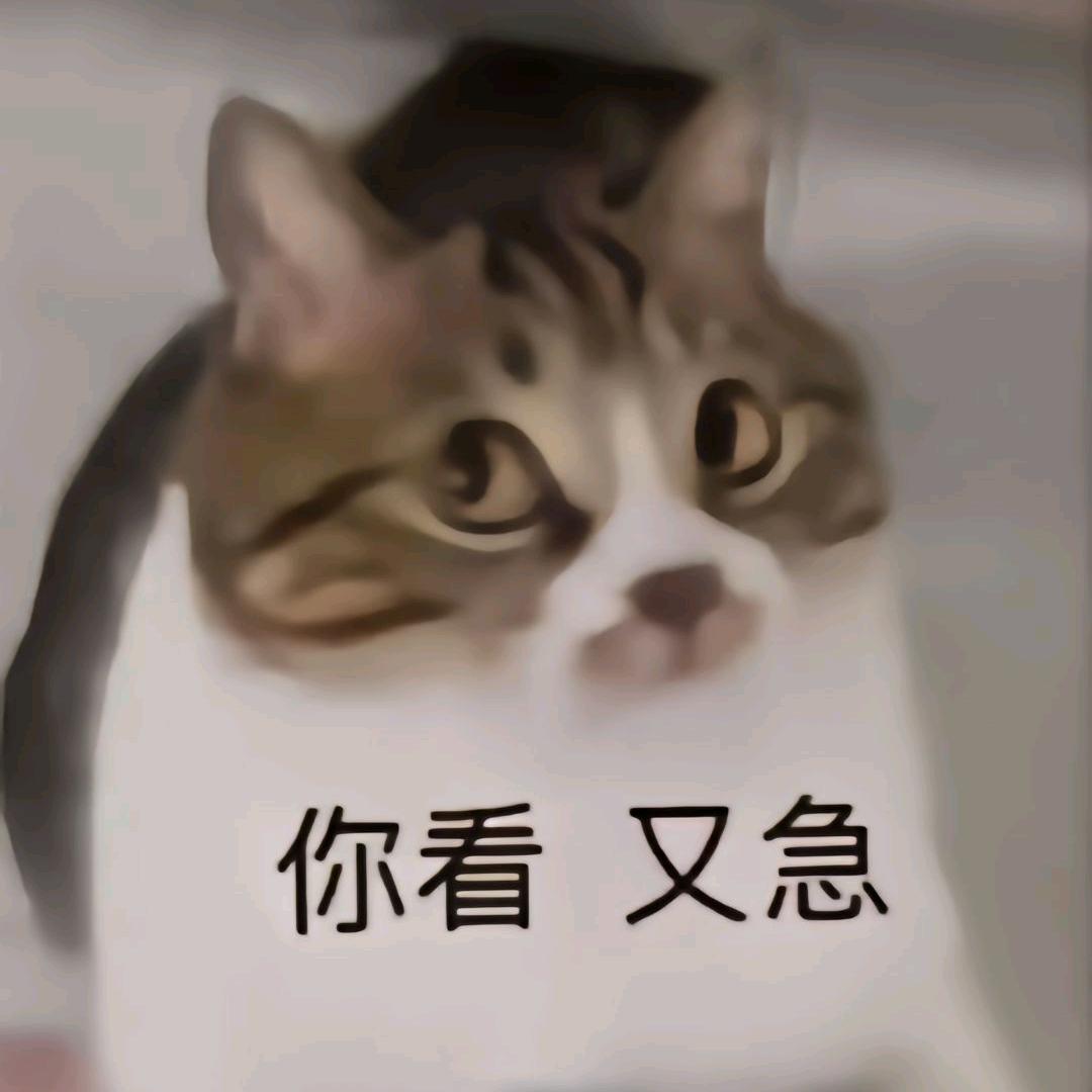 猫猫头
