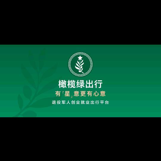绥化市橄榄绿网约车