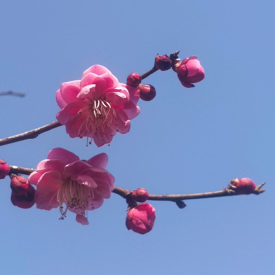 小小的人啊
