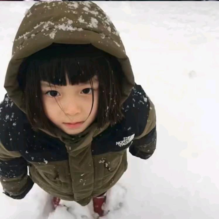 老D灯