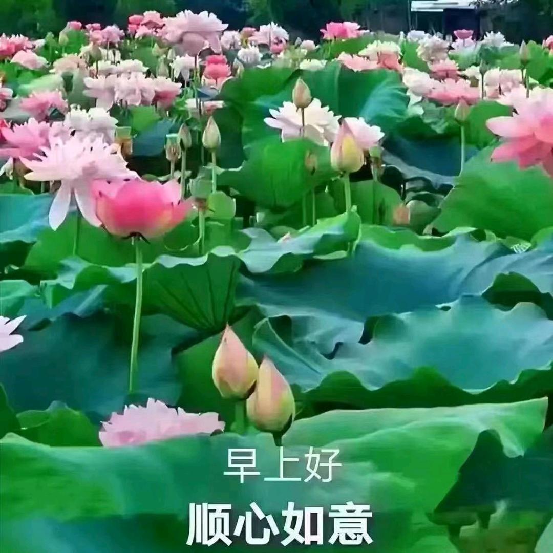 瓷都斜对面