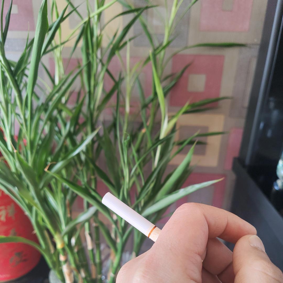 风的边界