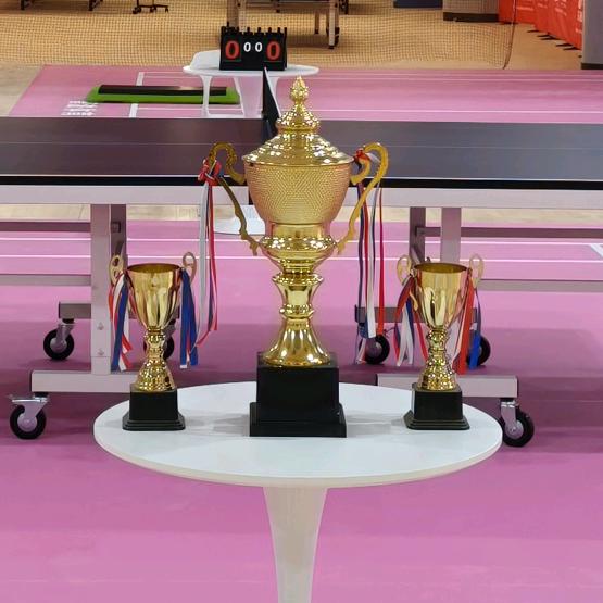 泗阳乒乓球基地