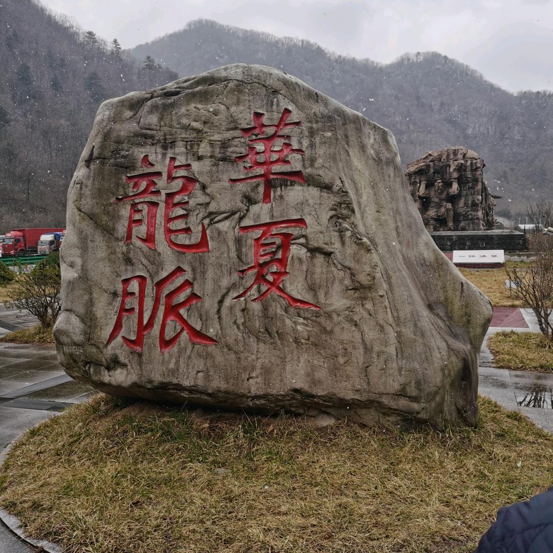 苏宁哥