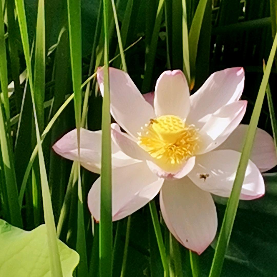 肥城闫氏建材家居