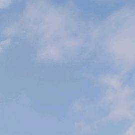 左右33