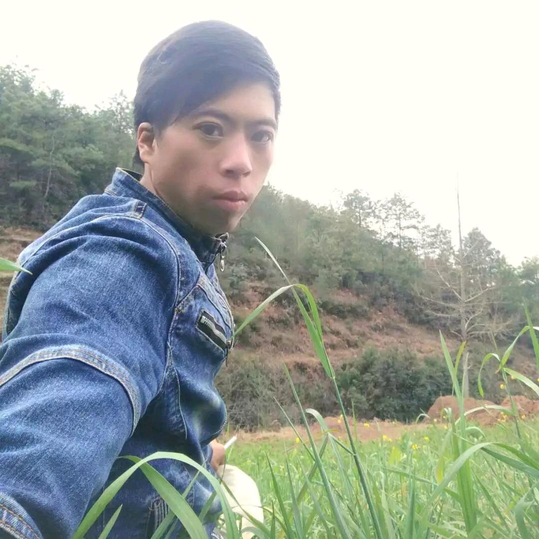 班起文