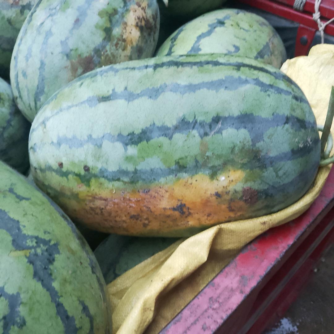 丑皇