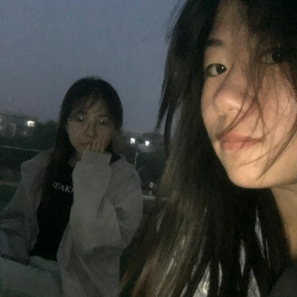 帅气的霸王龙