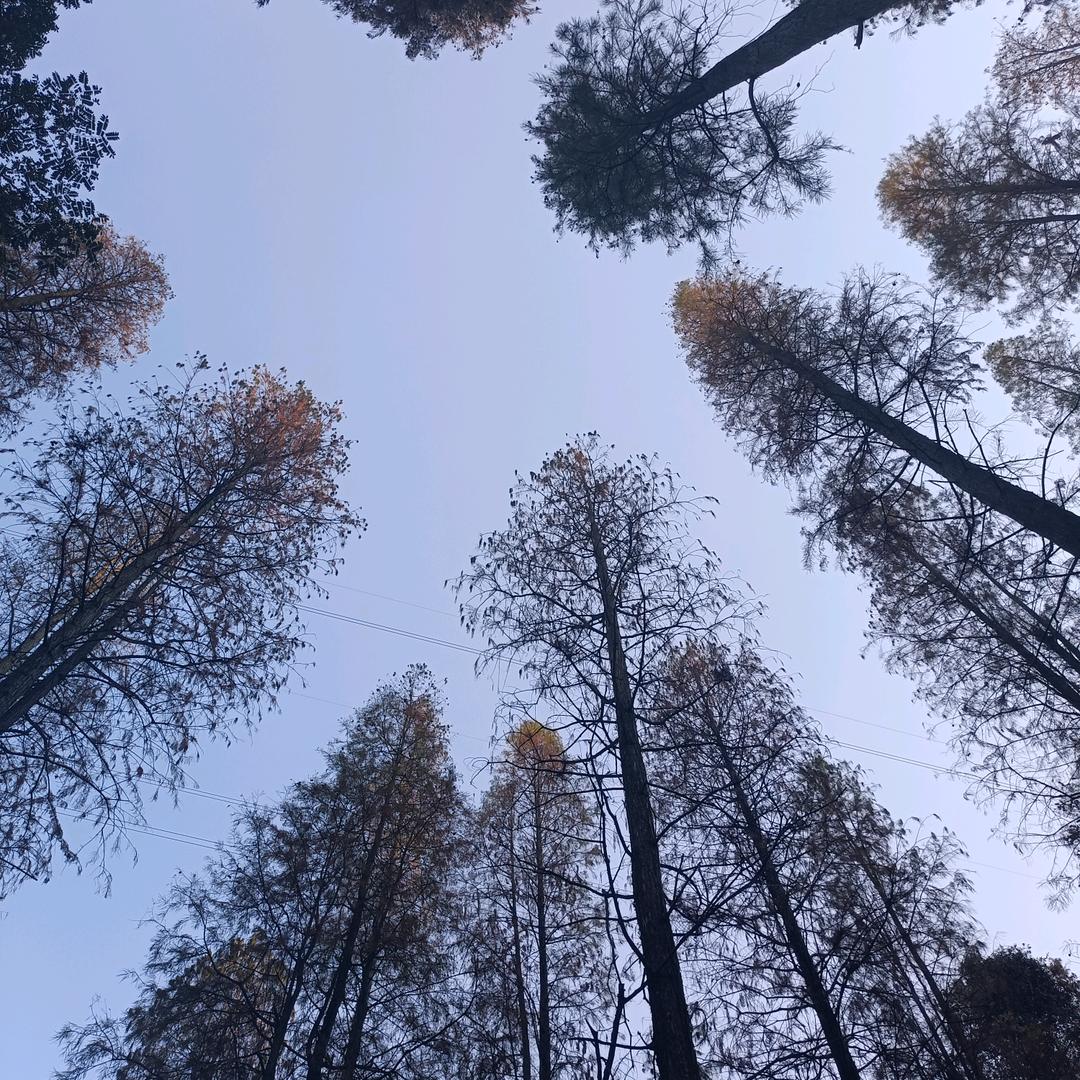 锋起云涌