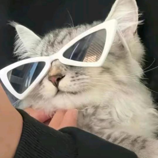 璃心