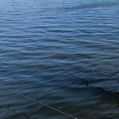 一问一个不吱声