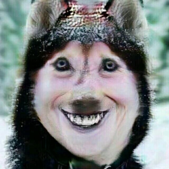 乡村$土狗
