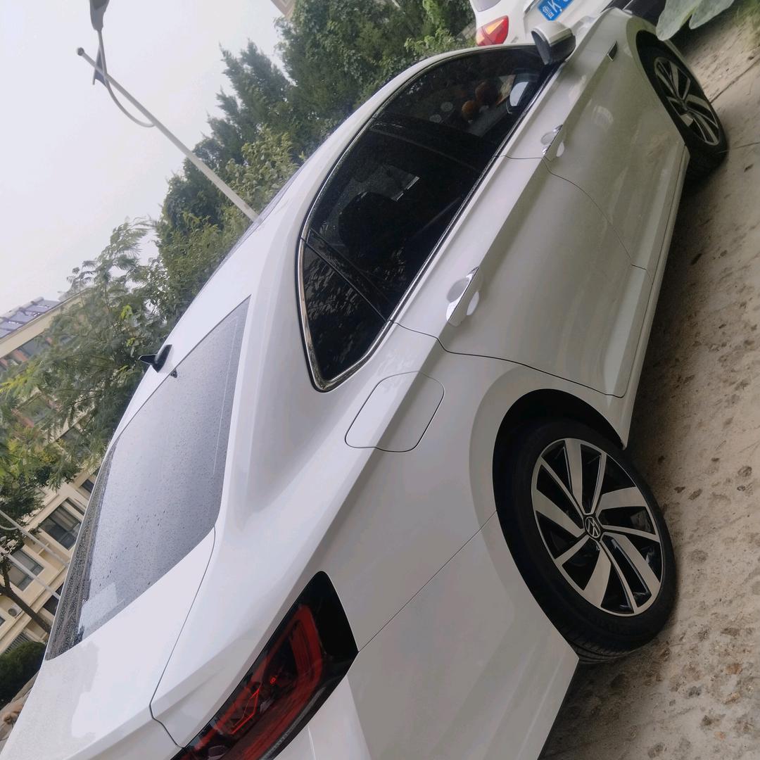 爱是寂寞说的谎