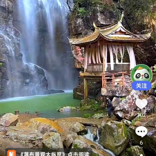 🌴阿明🌲🌱729