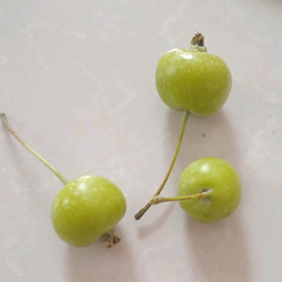 无敌之王