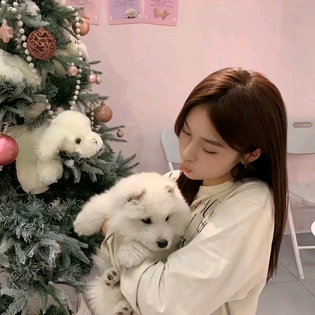 晴天 不吃香菜