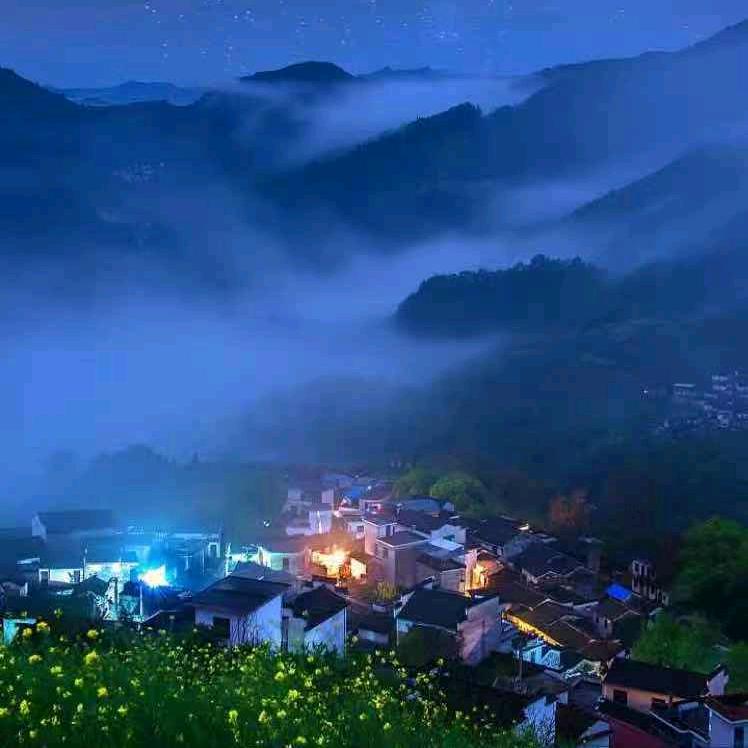 八哥短线