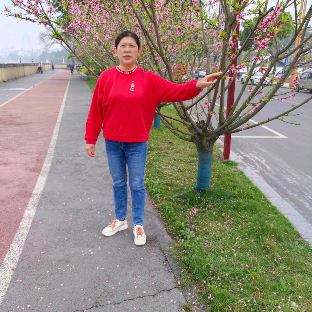 匆儿
