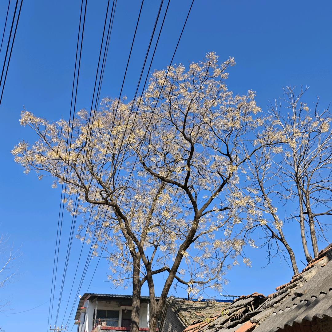 凌安电商臻选阁