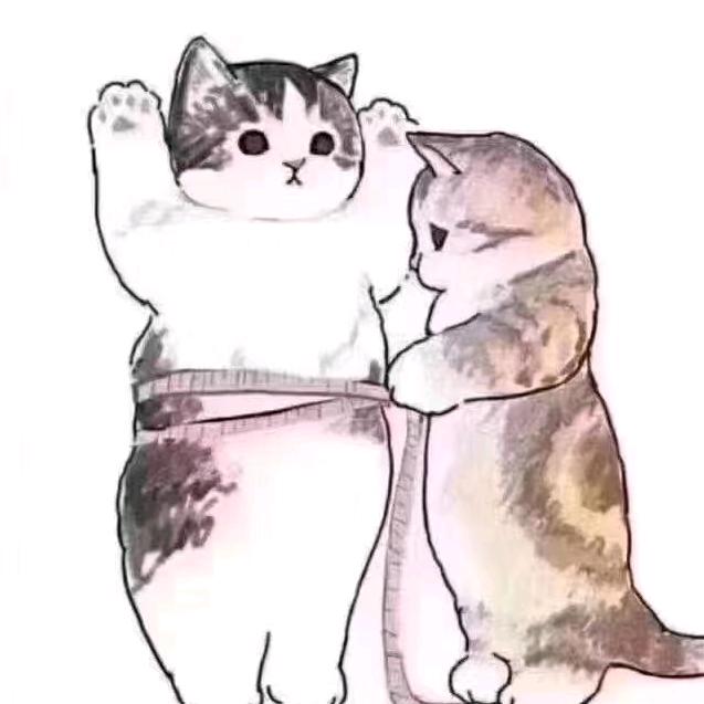 达吾提来了