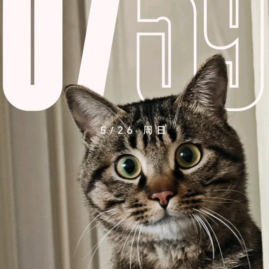 水电工刘（12.14号10点开播）