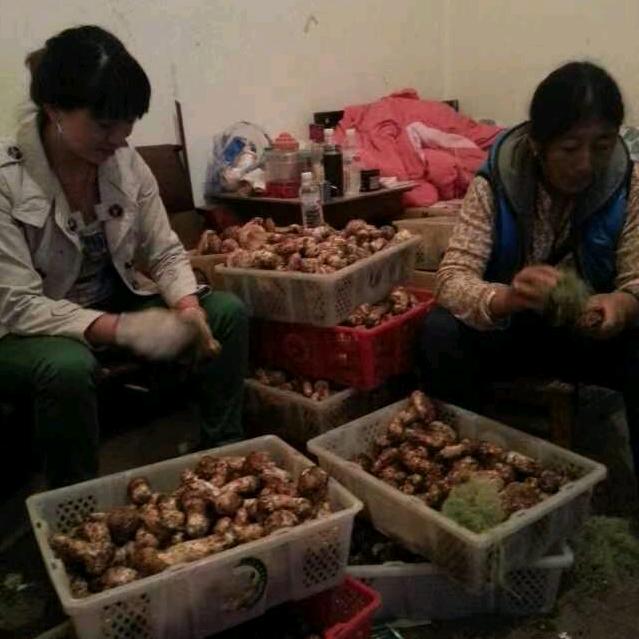 熊三