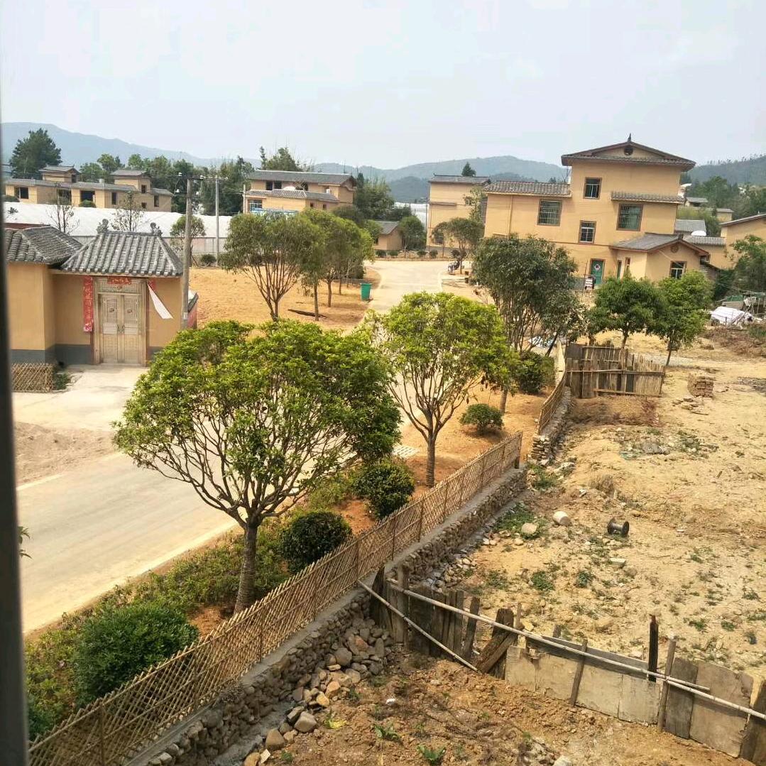 以门为名