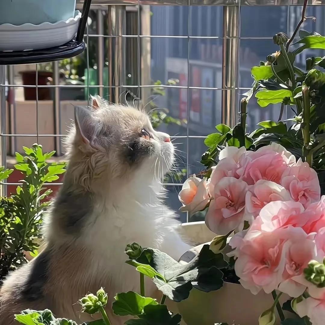 🌈墨染倾城【互】