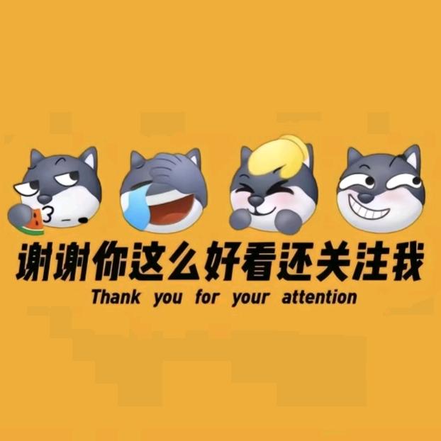 小五：人间非净土