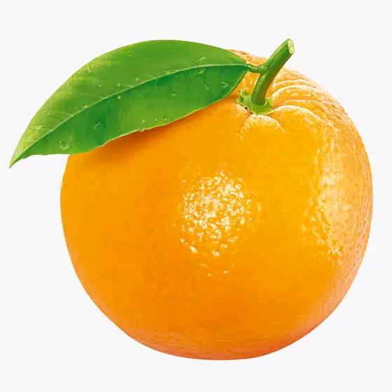 黄桔子