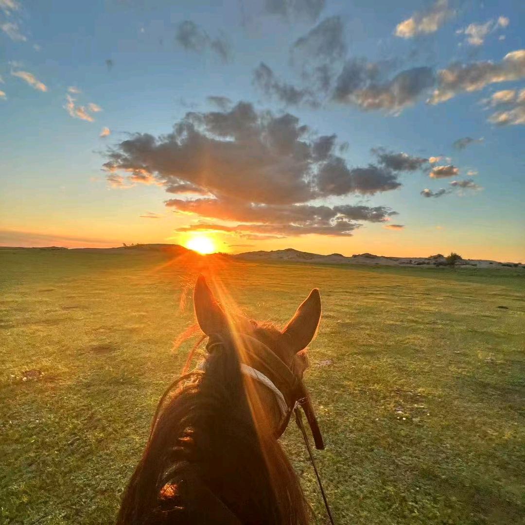 大连旅游向导大彬
