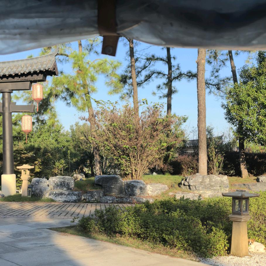 学海无涯苦作舟