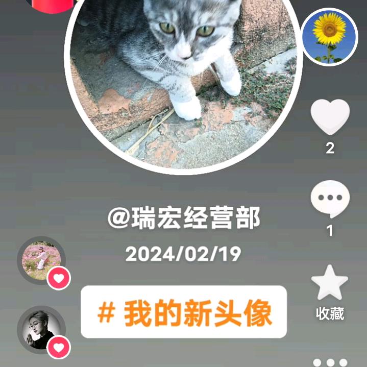瑞宏经营部