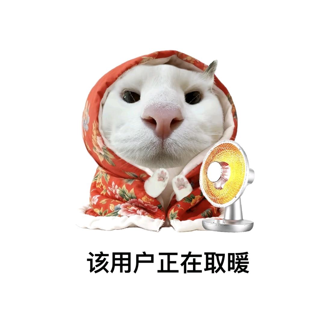 胖大橘