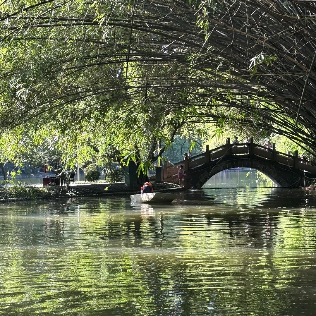 不会后悔博格华纳