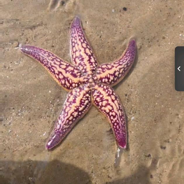 胖子的美好生活