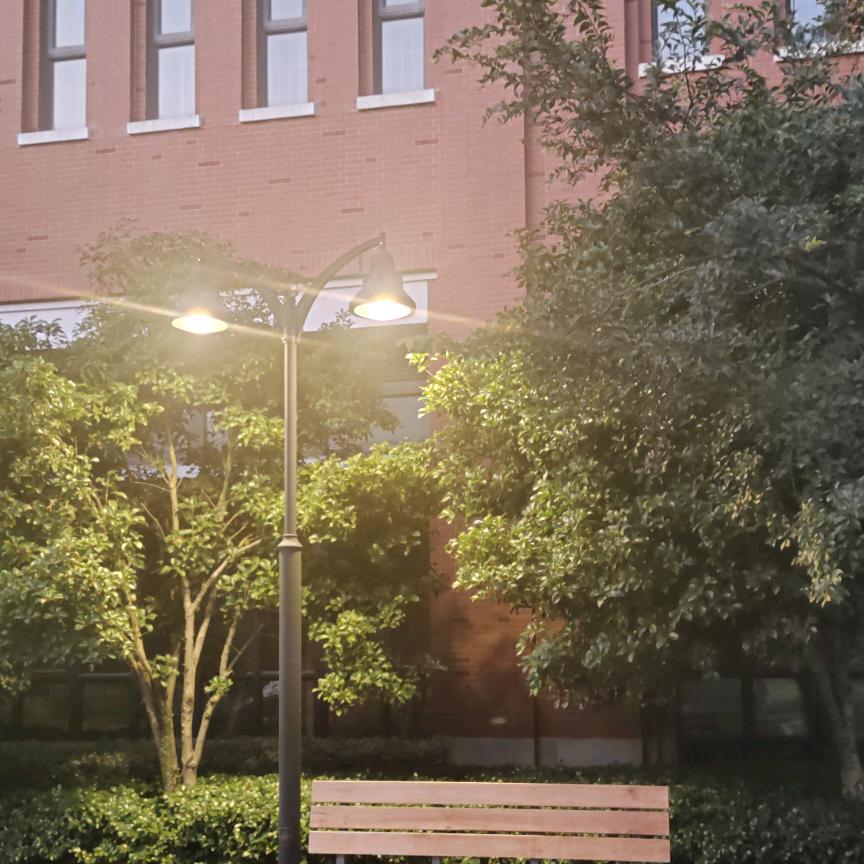 一往无前虎山行