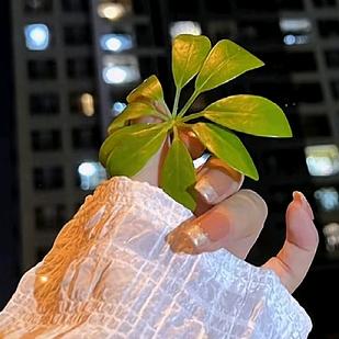 🍒寂静的波澜🍒