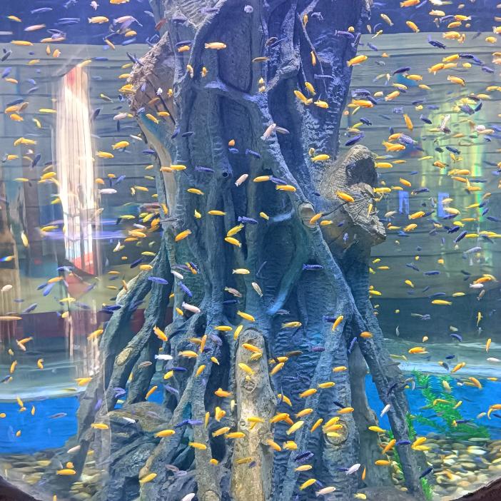 🌈🌈仄仄
