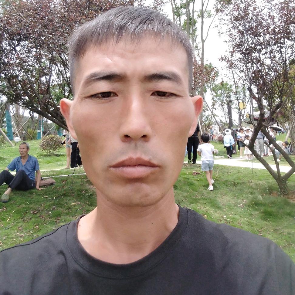 楊家男孩《晓楊》