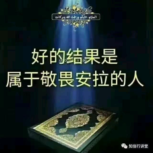 有一颗纯洁的心