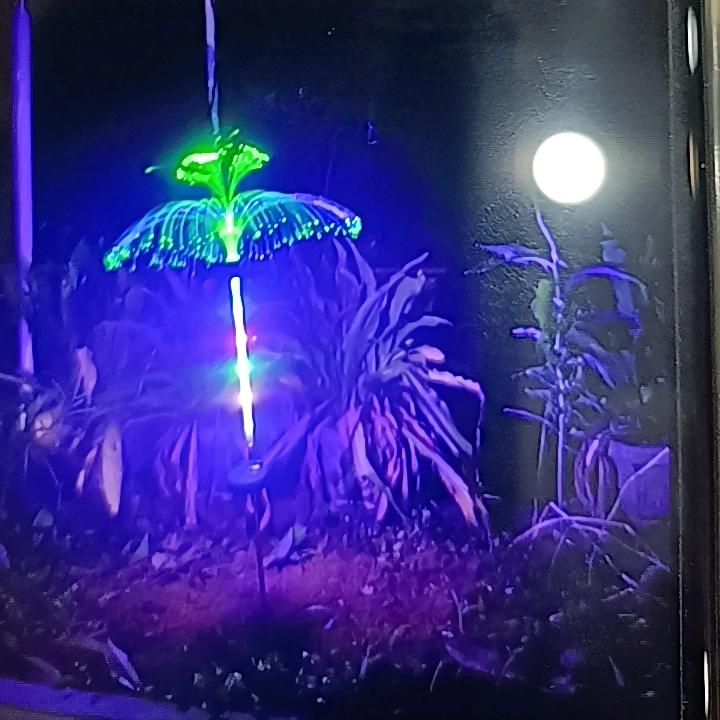 重庆老徐