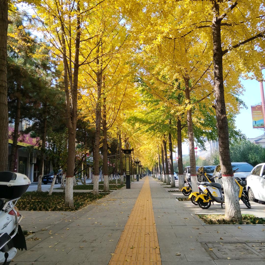 阳光心情🇨🇳