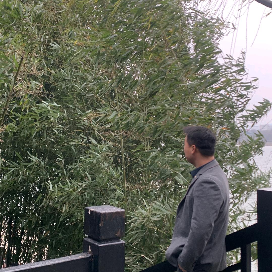 （小米）专业天花吊顶（深圳）