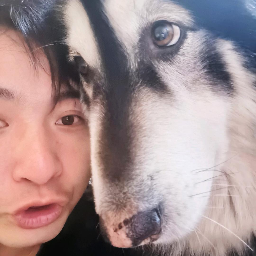 86七叔（宠物）