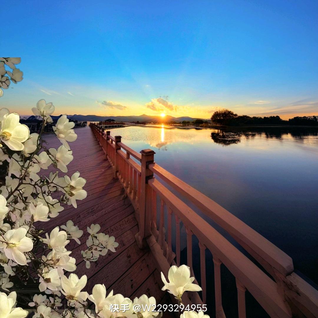 ꧁💞泡芙💞᪲꧂